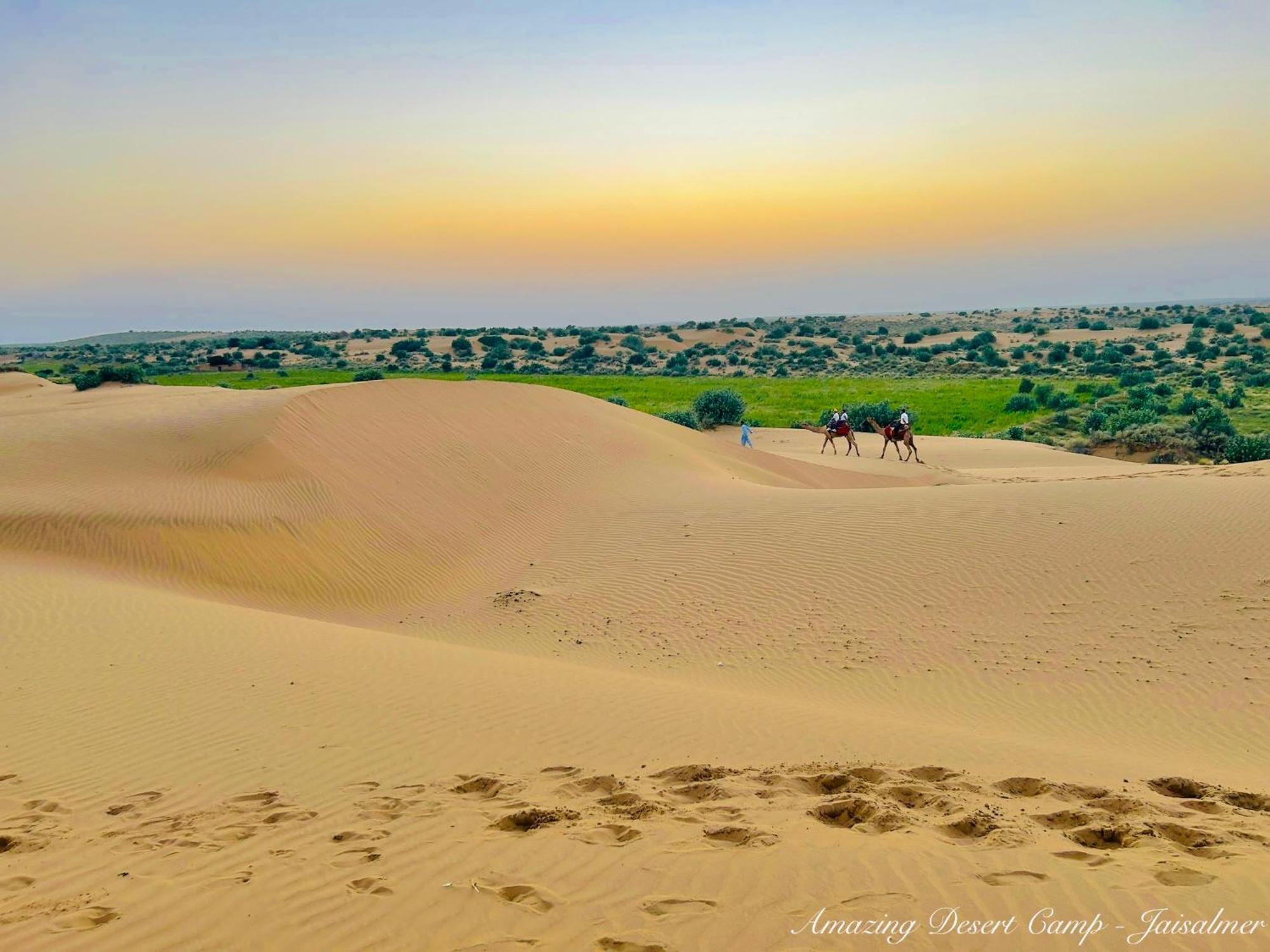 Amazing Desert Camp 자이살메르 외부 사진